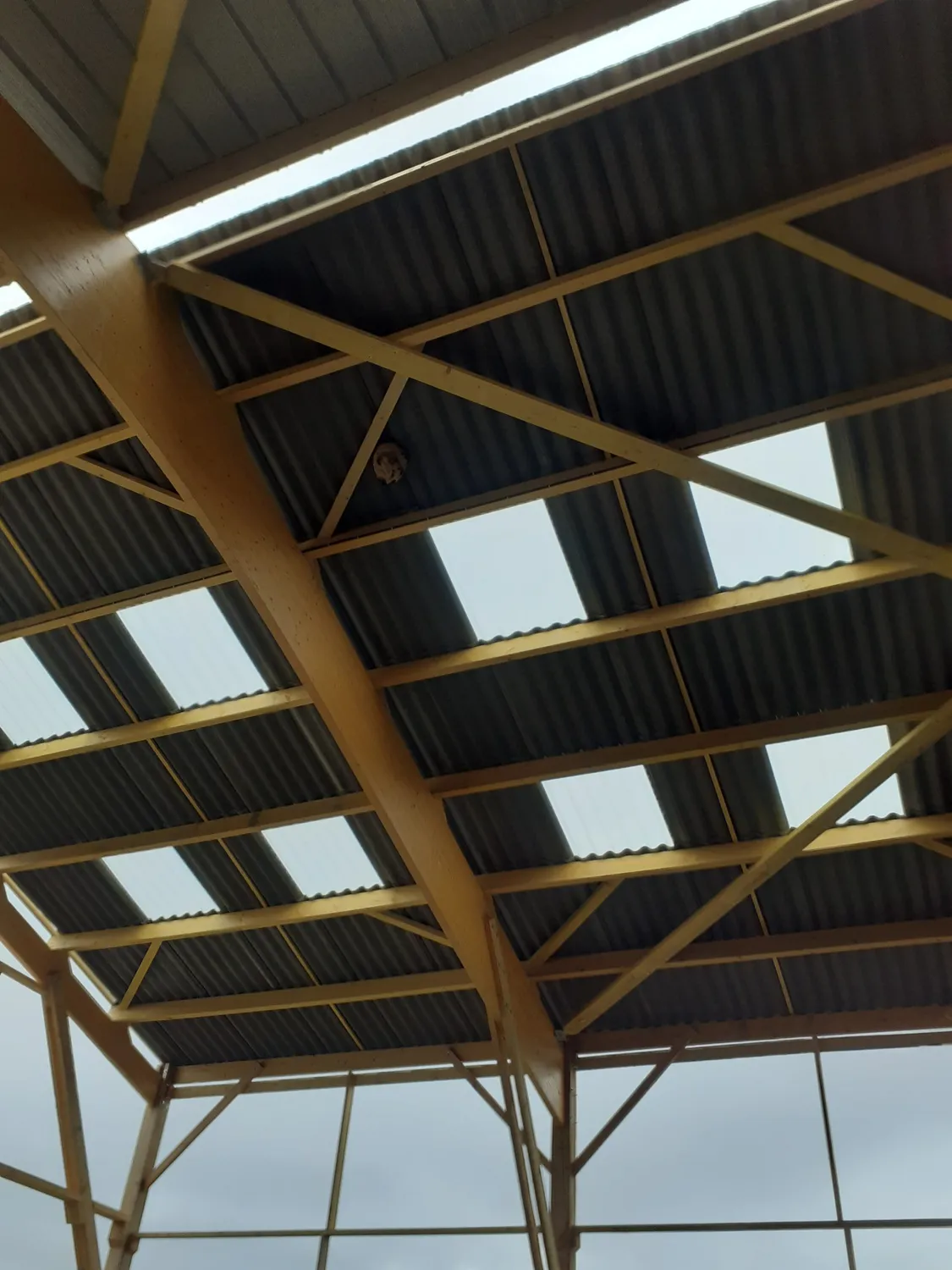 pose de bardage louvigne du desert